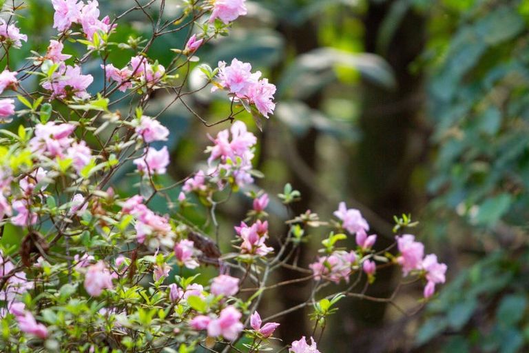 Photo of property in 598c Wright Road, Aongatete, Katikati, 3181