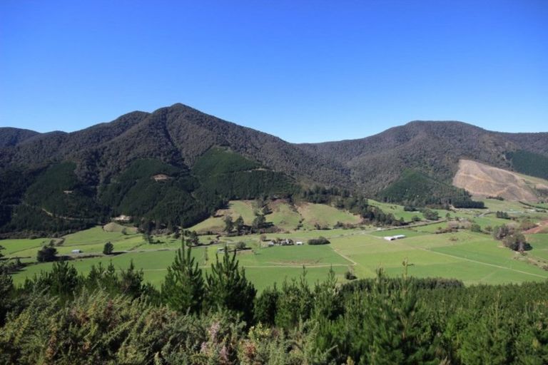 Photo of property in 857 Ronga Road, Rai Valley, 7194