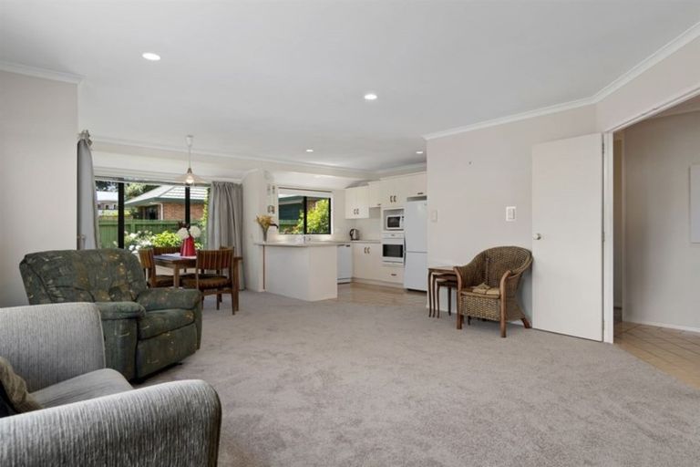 Photo of property in 169c Maungatapu Road, Maungatapu, Tauranga, 3112