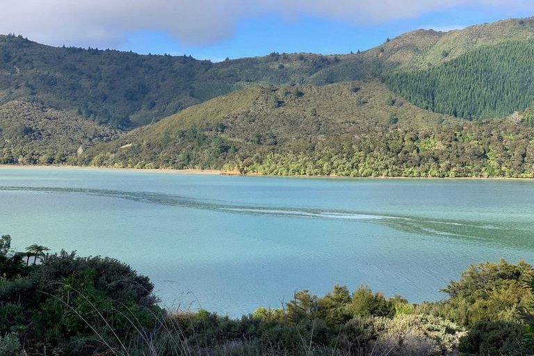 Photo of property in 236 Mahau Road, Mahau Sound, Marlborough Sounds, 7282