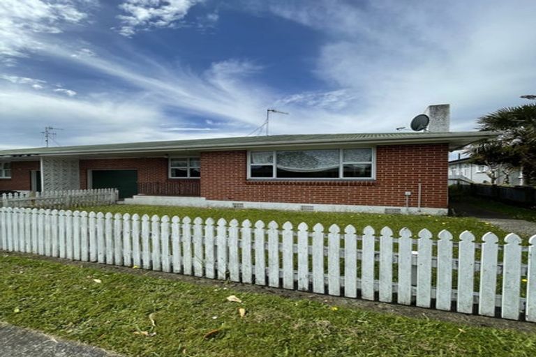 Photo of property in 32 Stuckey Street, Levin, 5510