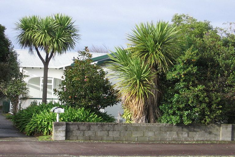 Photo of property in 264 Park Road, Hokowhitu, Palmerston North, 4410