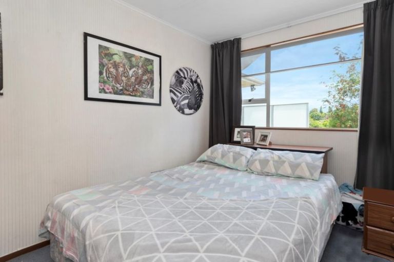 Photo of property in 220 Fraser Street, Tauranga South, Tauranga, 3112
