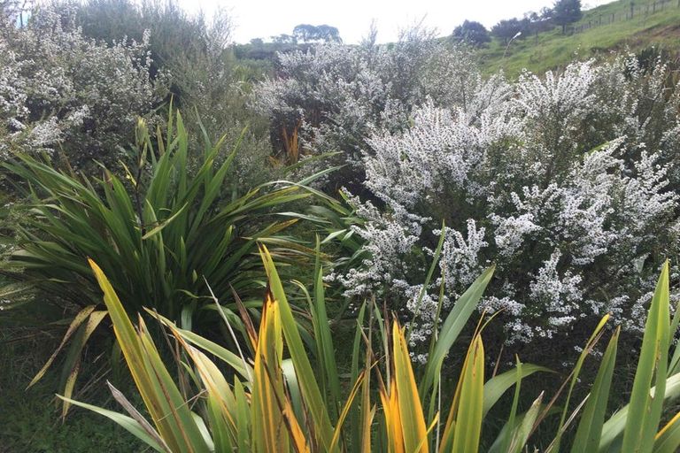 Photo of property in 1111b Te Waitere Road, Taharoa, 3988