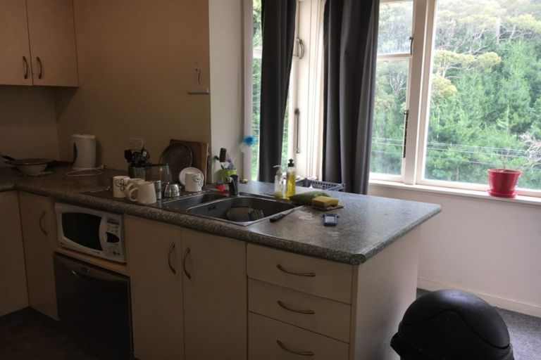 Photo of property in 379b Ohiro Road, Brooklyn, Wellington, 6021