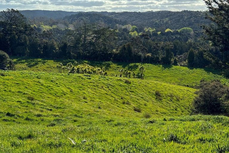 Photo of property in 208 Sunnyside Road, Coatesville, Albany, 0793