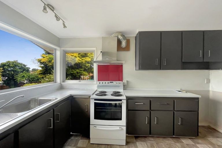 Photo of property in 47 Aurora Terrace, Hillcrest, Hamilton, 3216