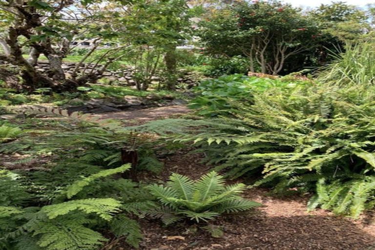 Photo of property in 46 Wellington Road, Paekakariki, 5034