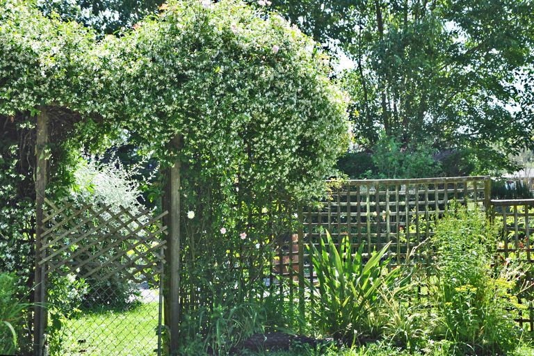 Photo of property in 472 Old Kaipara Road, Kaipara Flats, Warkworth, 0981