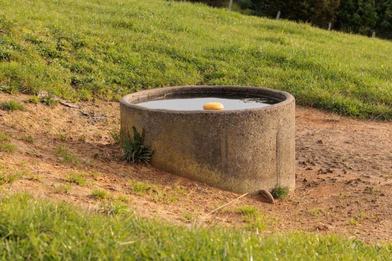 Photo of property in 39c Rowe Road, Ohauiti, Tauranga, 3173