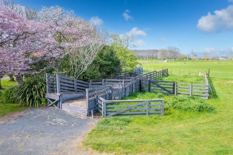Photo of property in 256 Kaipaki Road, Ohaupo, 3881