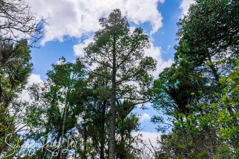 Photo of property in 16 Nikau Lane, Maungaturoto, 0520