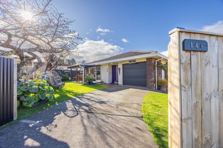 Photo of property in 14a Ruataniwha Street, Waipawa, 4210