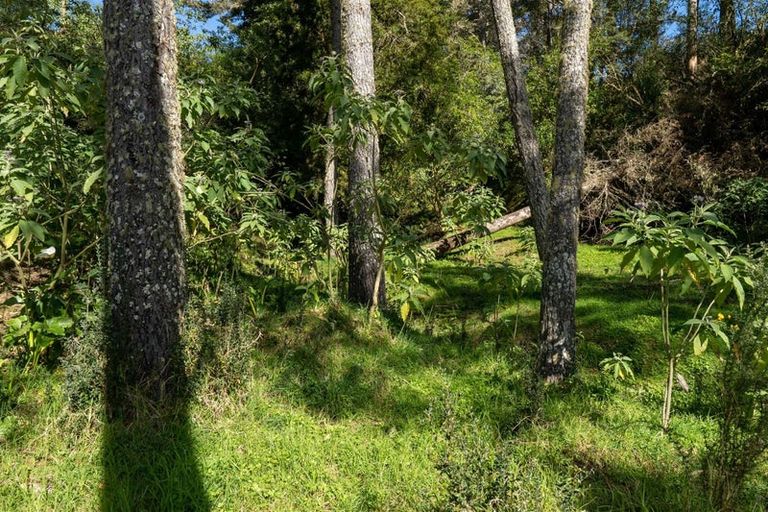 Photo of property in 15 Toots Drive, Kawakawa, 0282