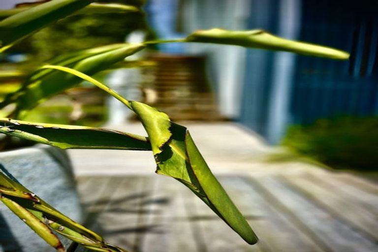 Photo of property in 21 Tindalls Bay Road, Tindalls Beach, Whangaparaoa, 0930