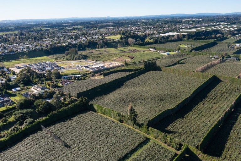 Photo of property in 81 Dunlop Road, Te Puke, 3119