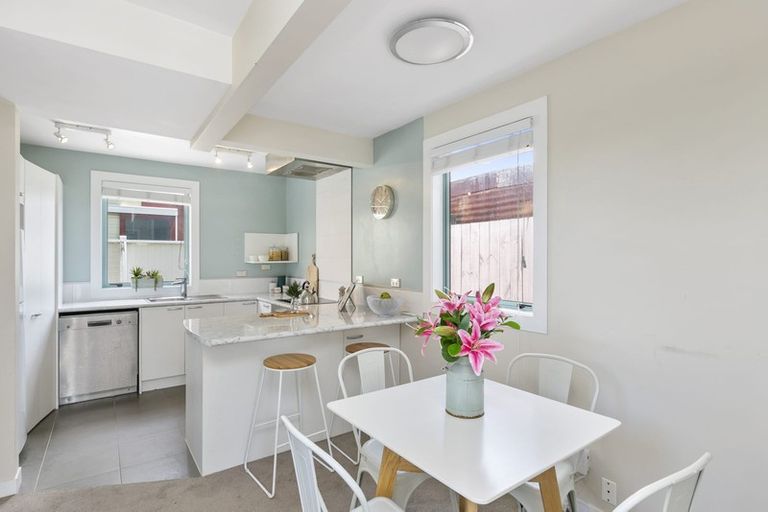 Photo of property in 219a Adelaide Road, Newtown, Wellington, 6021