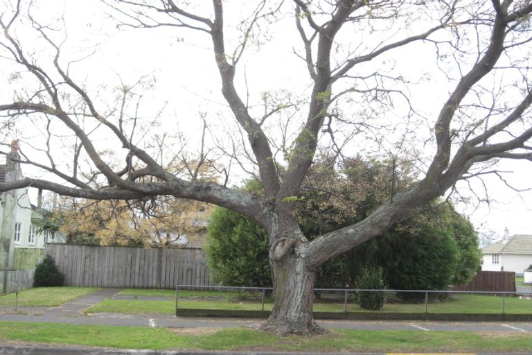 Photo of property in 56 Geddis Avenue, Maraenui, Napier, 4110