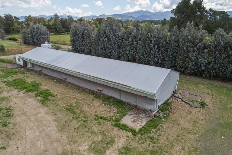 Photo of property in 337 Upper Plain Road, Upper Plain, Masterton, 5888