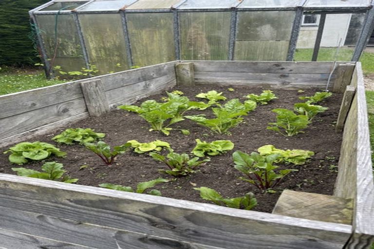 Photo of property in 69 Balaclava Street, Wyndham, 9831