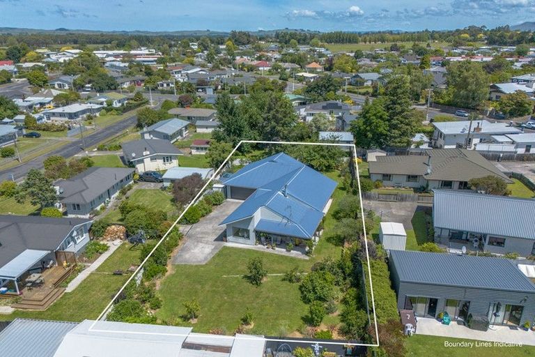 Photo of property in 6 Albert Street, Waipukurau, 4200