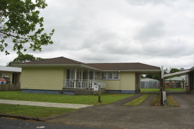 Photo of property in 12 Windmill Road, Pukekohe, 2120