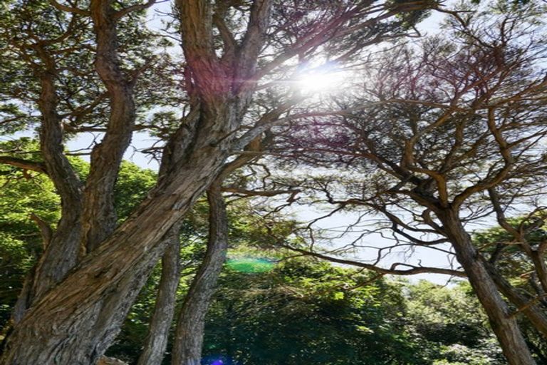 Photo of property in 24 Fred Hollows Way, Glenleith, Dunedin, 9010