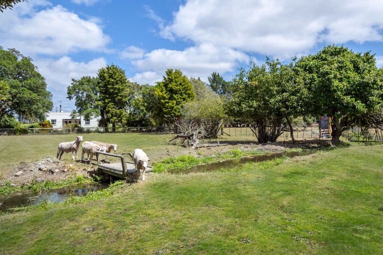 Photo of property in 299 Bidwills Cutting Road, Morison Bush, Greytown, 5794