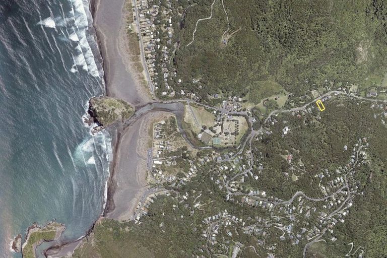 Photo of property in 37 Glenesk Road, Piha, New Lynn, 0772