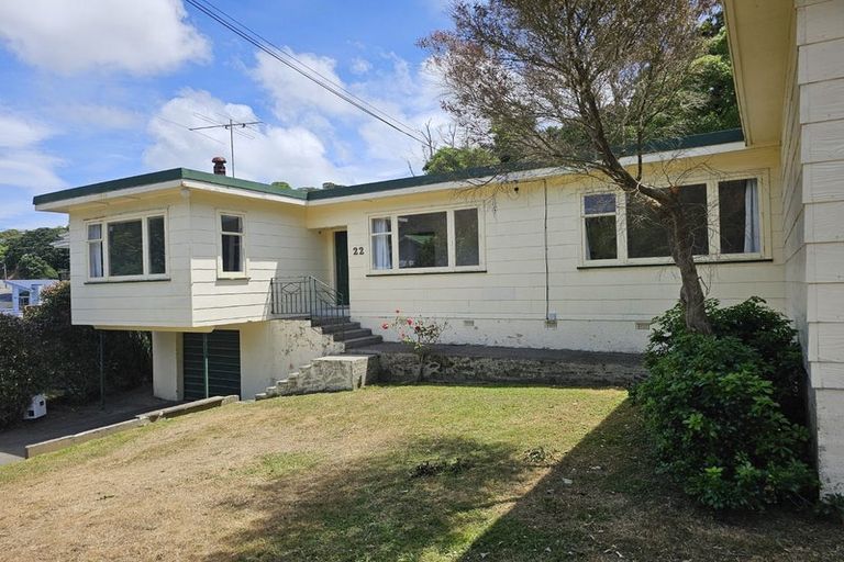 Photo of property in 22 Liardet Street, Vogeltown, Wellington, 6021