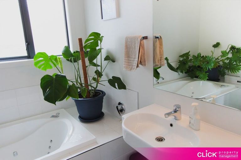 Photo of property in 29 Barclay Street, North East Valley, Dunedin, 9010