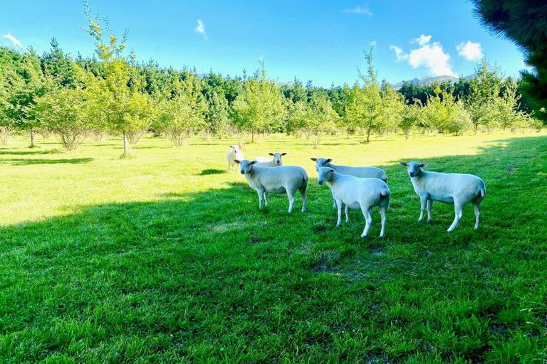 Photo of property in 21 Crallans Drain Road, Oxford, 7495