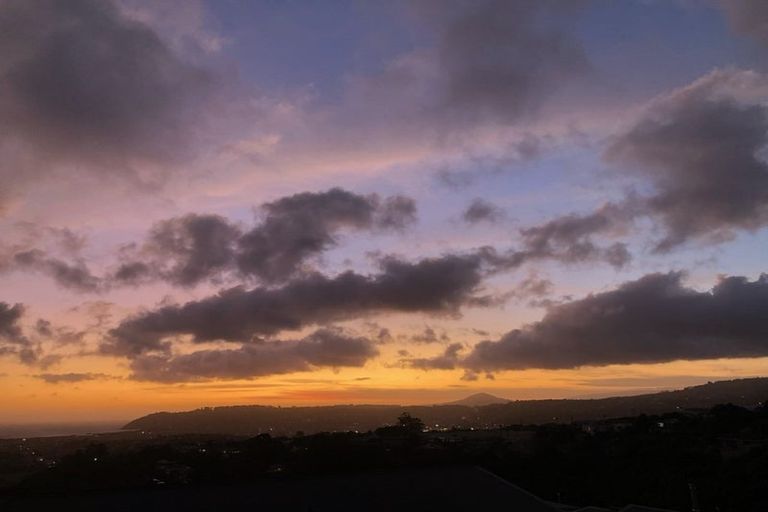 Photo of property in 21 Murano Street, Waverley, Dunedin, 9013