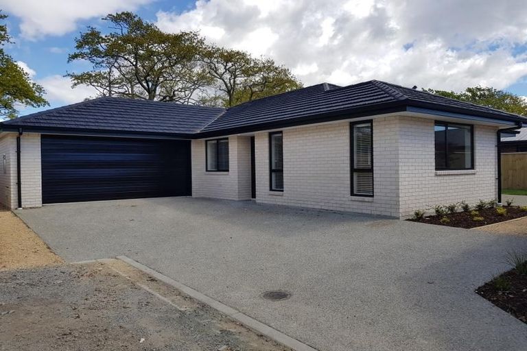 Photo of property in 61 Malone Crescent, Richmond, 7020