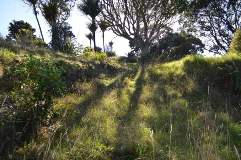 Photo of property in 24 Boulder Bay Drive, Tuateawa, Coromandel, 3583