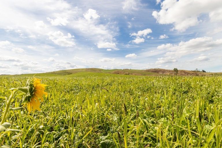 Photo of property in 376 Clark And Denize Road, Pukekawa, 2696