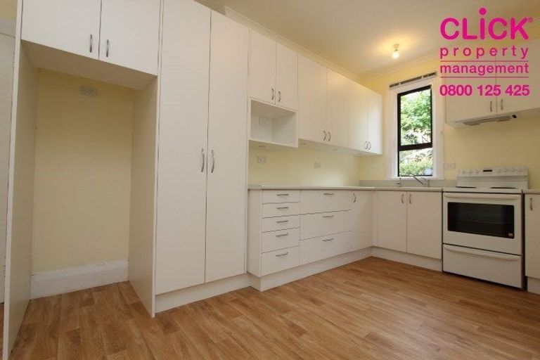 Photo of property in 29 Forfar Street, Clyde Hill, Dunedin, 9011