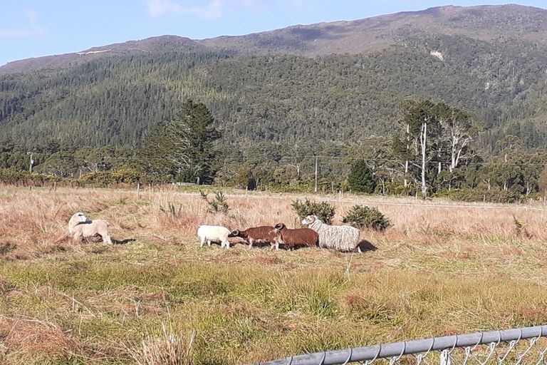 Photo of property in 5/99 Powerhouse Road, Fairdown, Westport, 7891