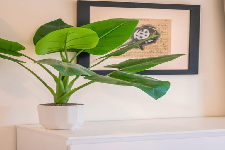 Photo of property in 35 Aranui Road, Mapua, 7005