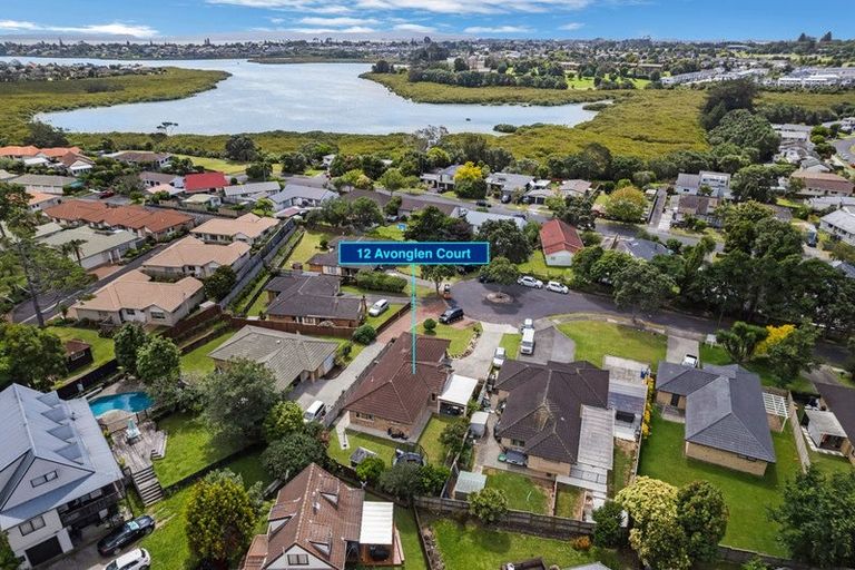 Photo of property in 12 Avonglen Court, Wattle Downs, Auckland, 2103