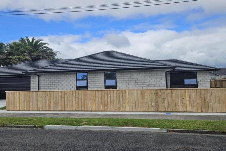 Photo of property in 5a Massey Street, Westown, New Plymouth, 4310
