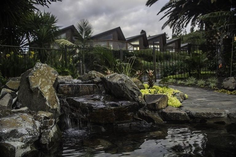 Photo of property in 316 Rocky Cutting Road, Waitao, Tauranga, 3175