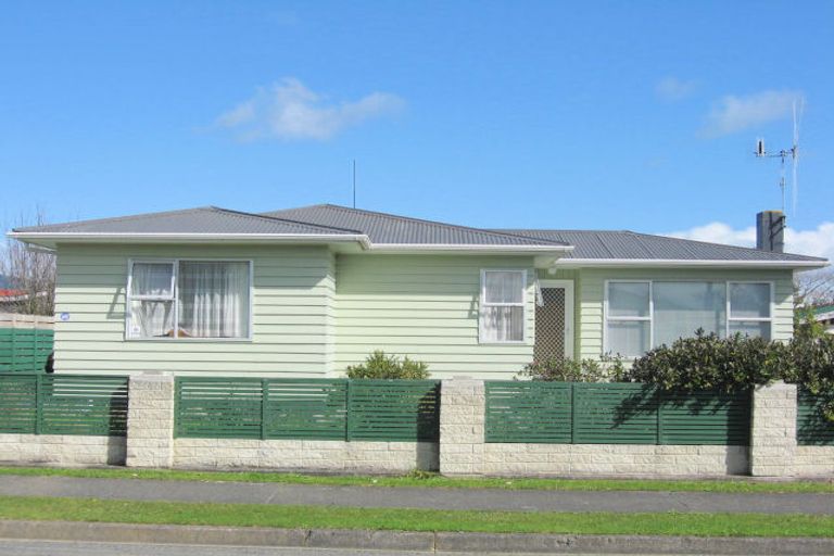 Photo of property in 24 Braemar Street, Levin, 5510