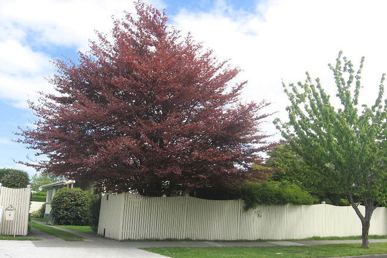 Photo of property in 7 Monro Street, Blenheim, 7201