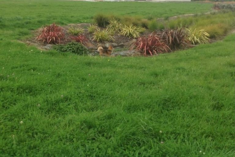 Photo of property in 10 Pathways Drive, Kerikeri, 0230