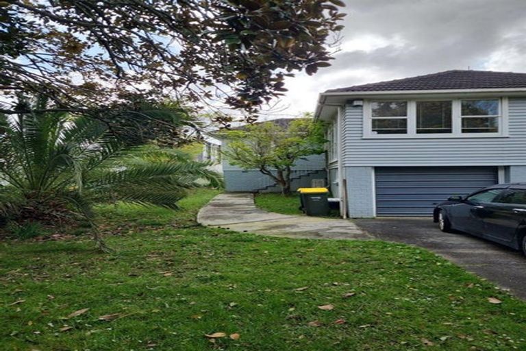Photo of property in 9 Hinau Street, New Lynn, Auckland, 0600
