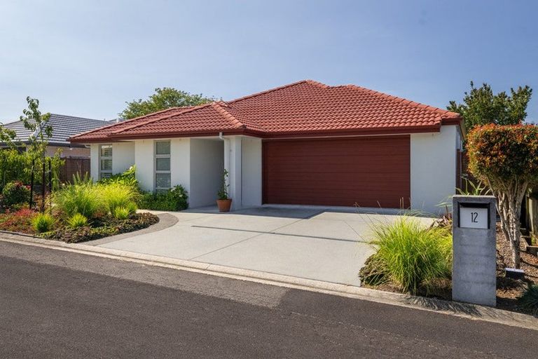 Photo of property in 12 Turnberry Close, Aongatete, Katikati, 3178
