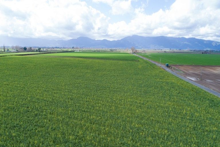 Photo of property in 1310 Alexandra Road, Waharoa, 3474