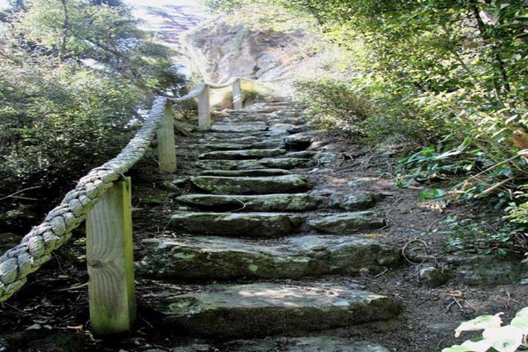 Photo of property in 63 Glendevon Place, Vauxhall, Dunedin, 9013