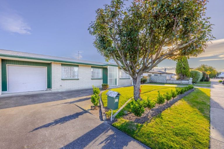 Photo of property in 577-579 Lowe Street, Camberley, Hastings, 4120